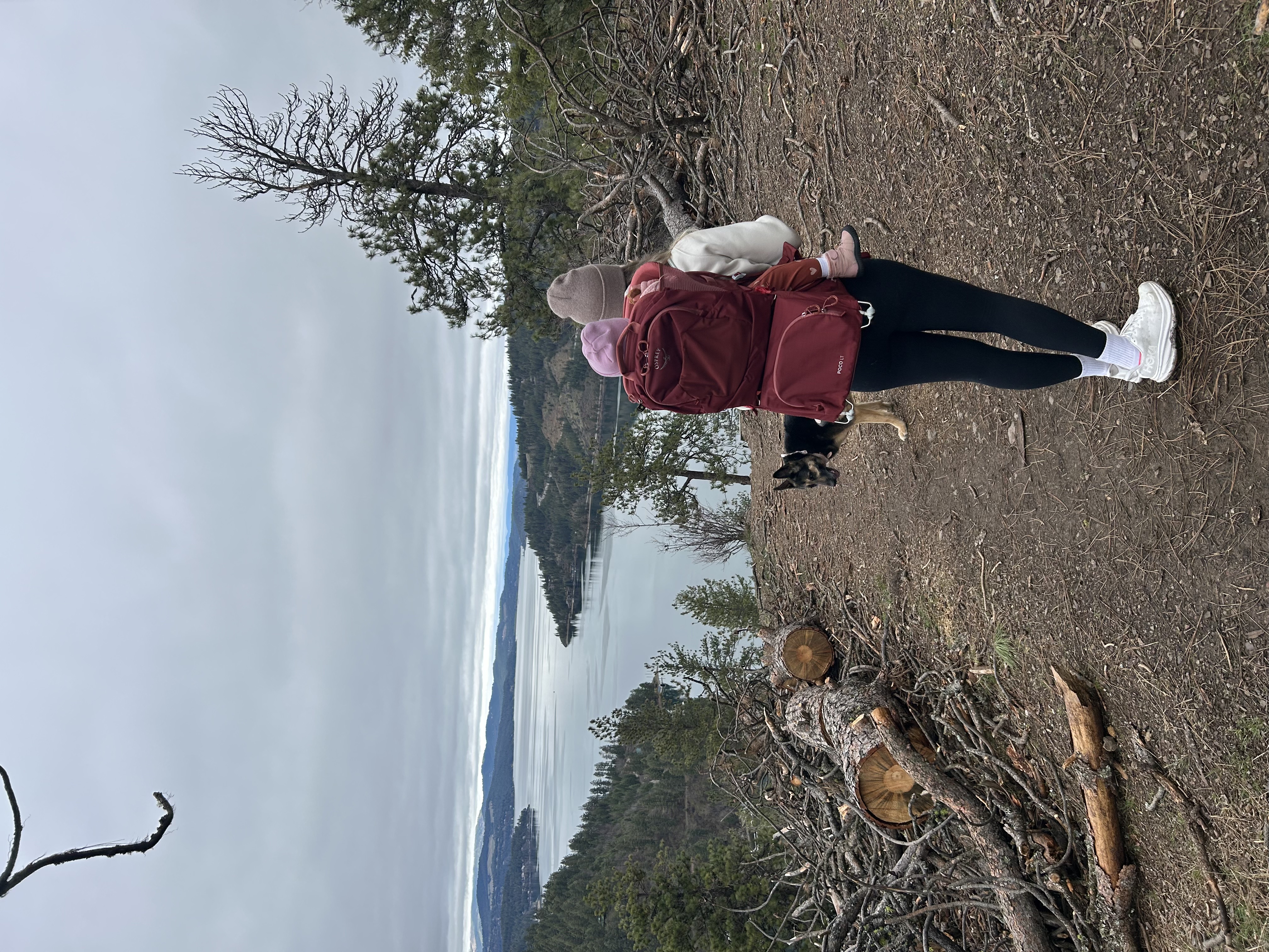 Ashley, Founder of Blaze24